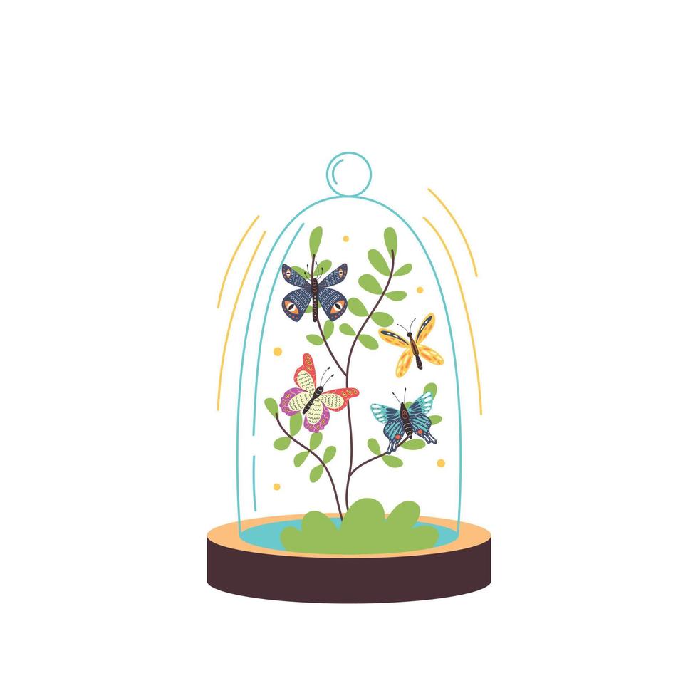 terrario de cristal con mariposas vector