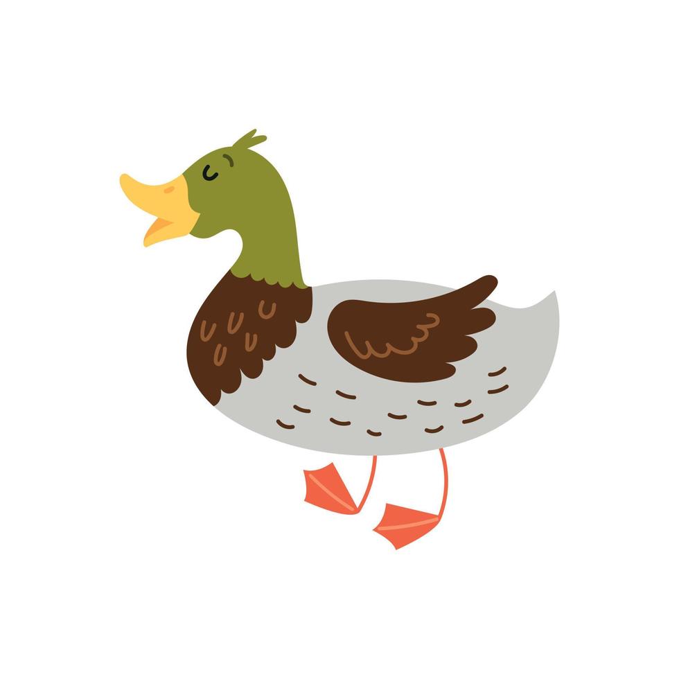 Cute bird character duck vector