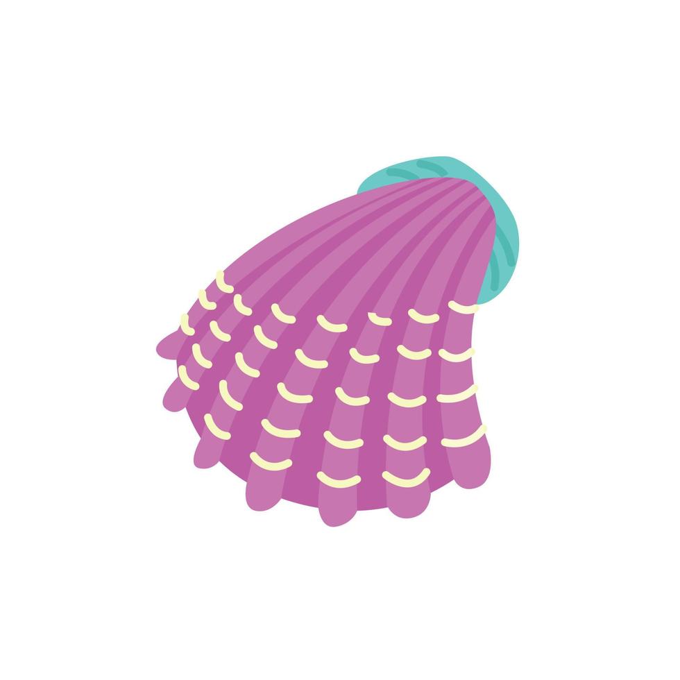 Vector sea shell mollusk