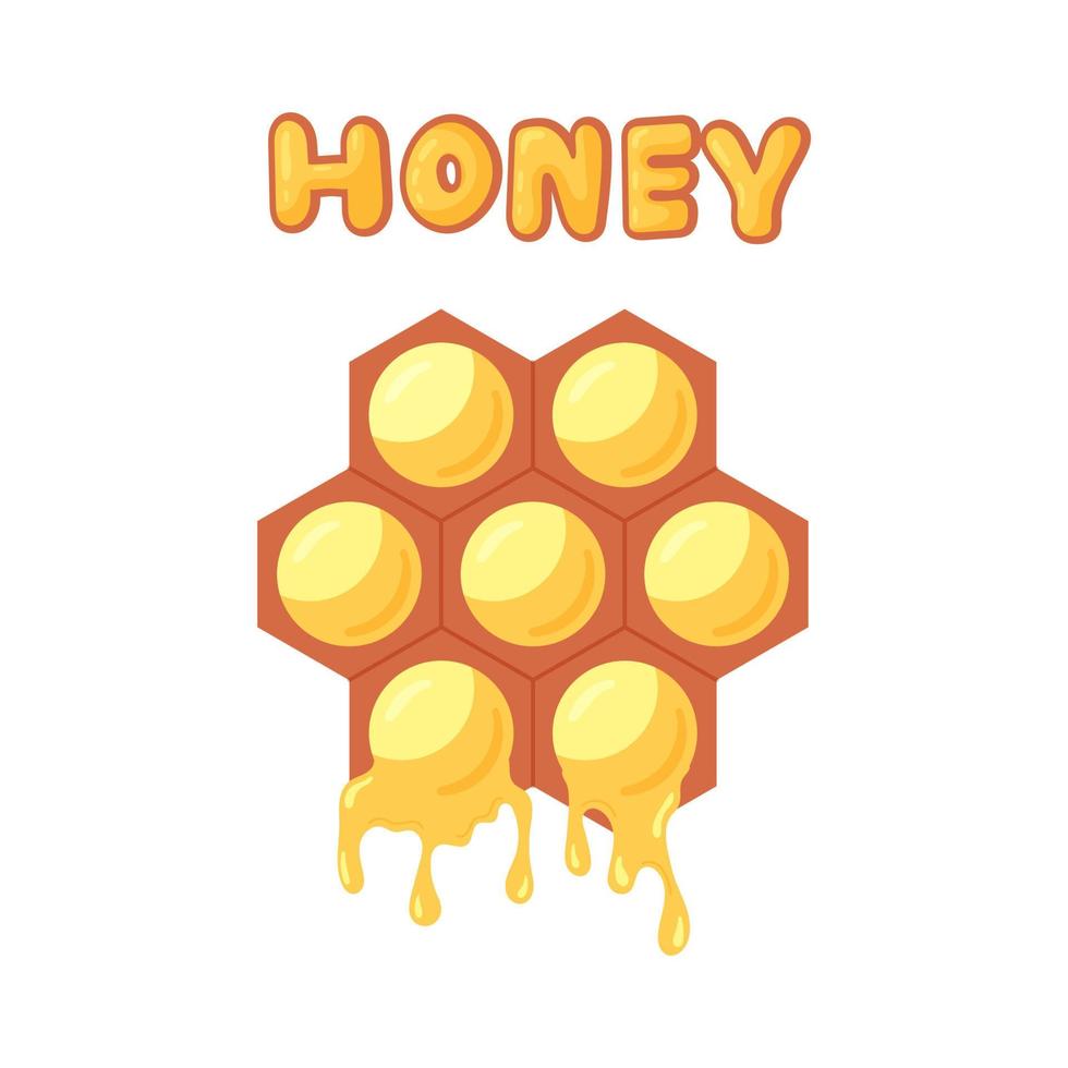 Honeycomb with lettering honey vector