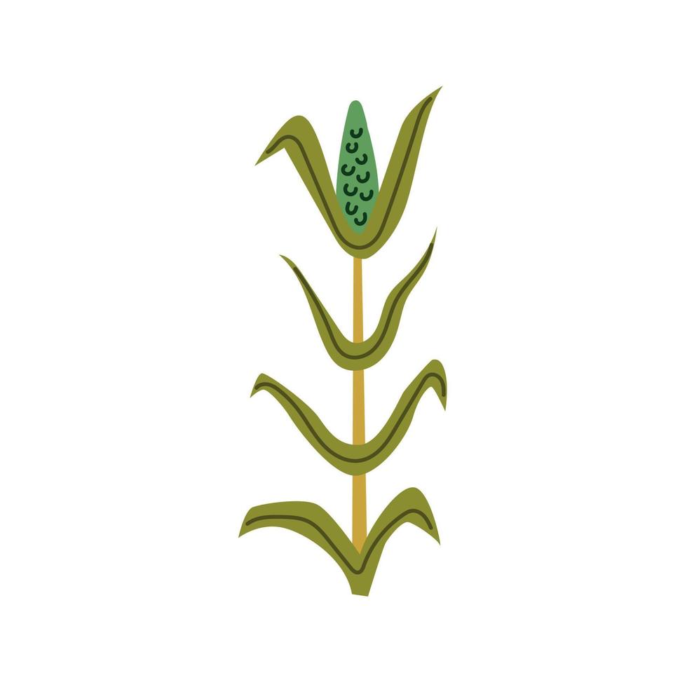 Green corn doodle vector