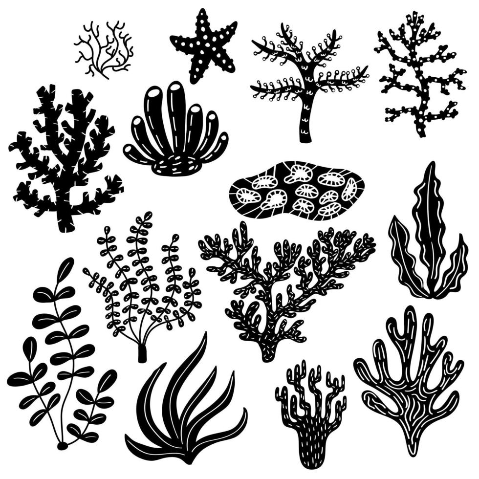 Black and white set of corals and algae vector