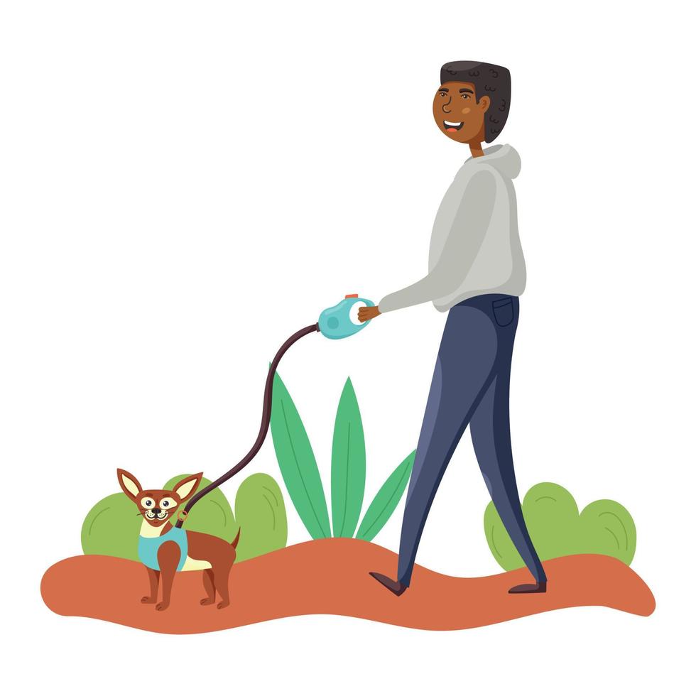 Guy walks a chihuahua dog on a leash vector