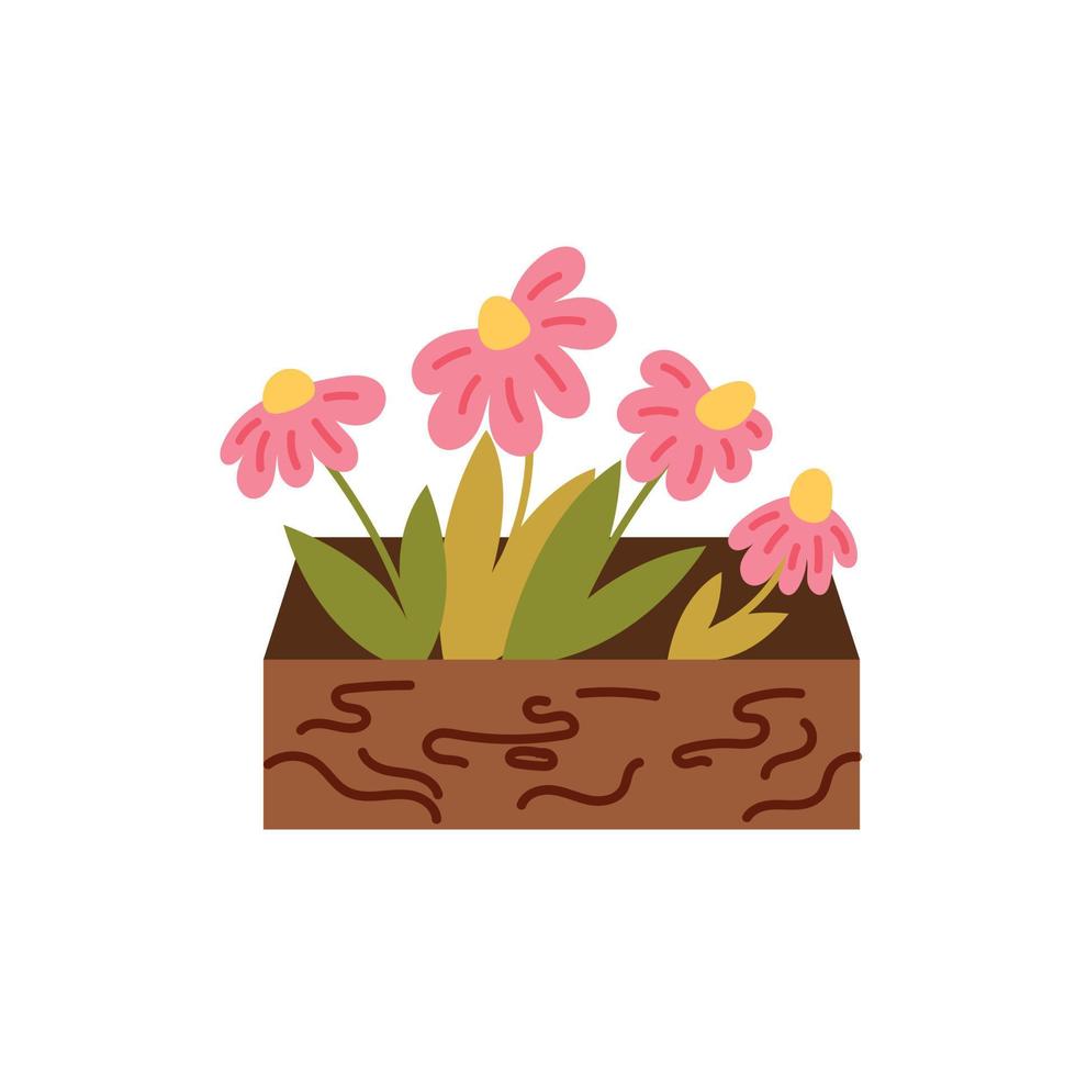 Garden box flowers vector