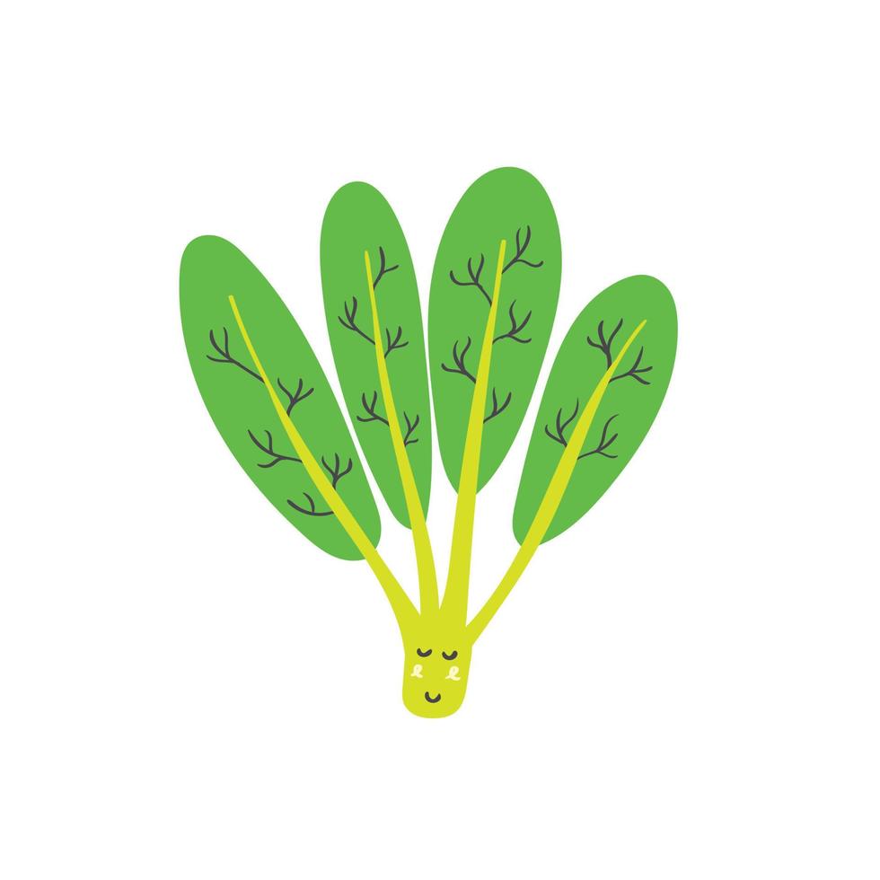 Cute green spinach vector