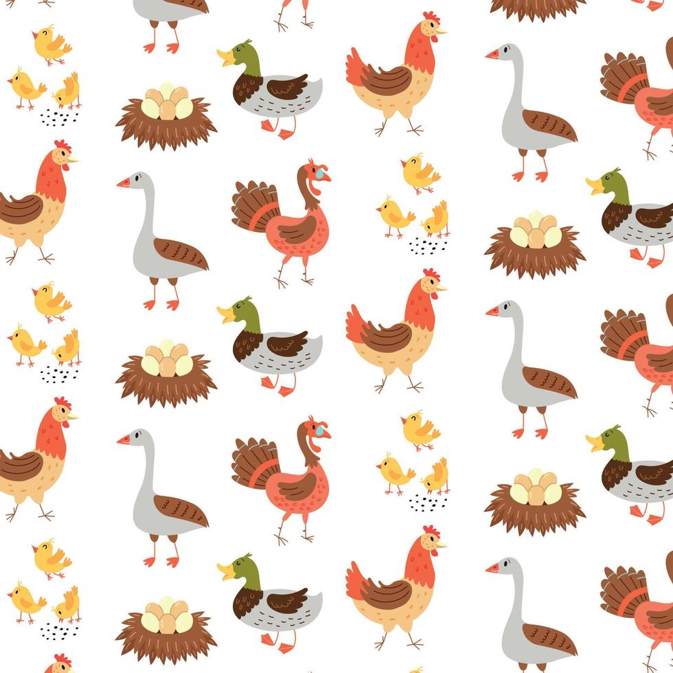 Seamless pattern farm birds geese duck chicken turkey vector