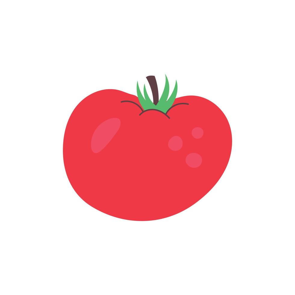 Red vector tomato