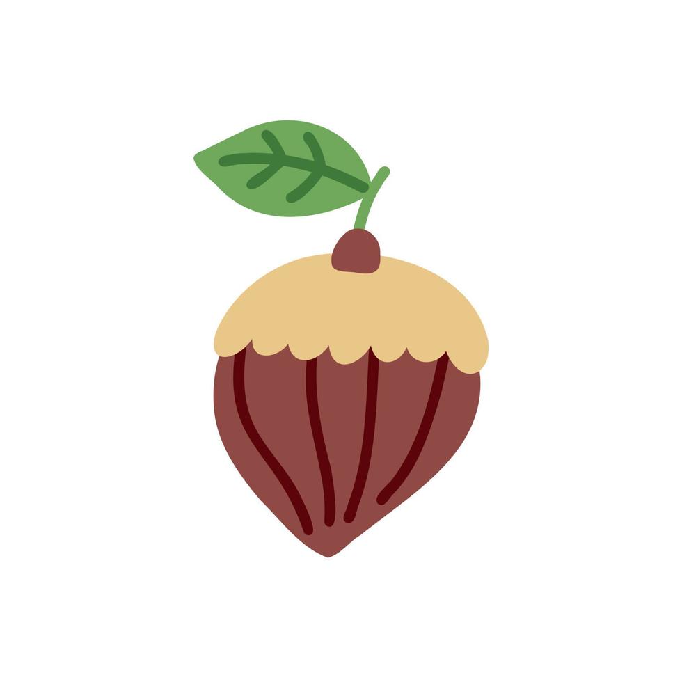 Hazelnut vector doodle