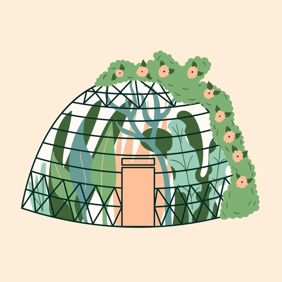 invernadero casero moderno en forma de cúpula con plantas. jardín, trepando por la hiedra. jardín de cristal de invierno, un invernadero es una casa con una plantación. la habitación es verde. jardinería en el sitio. vector