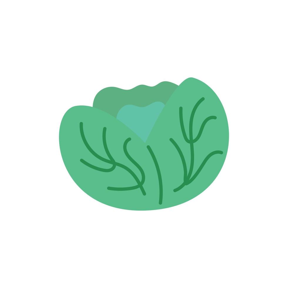 Vegetable cabbage doodle vector