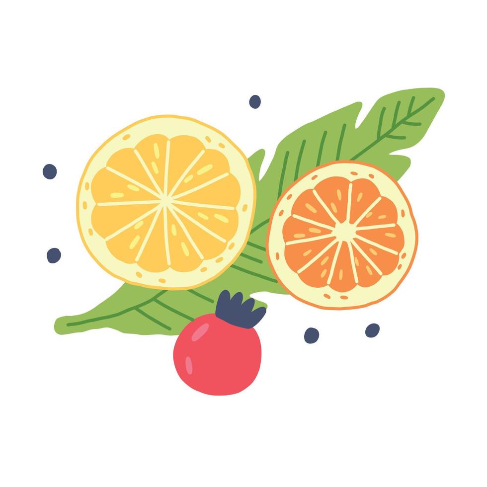 composición rodajas de fruta naranja limón dibujado a mano vector