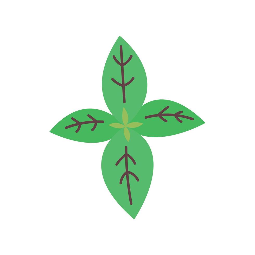 Aromatic Mint Green Grass Vector