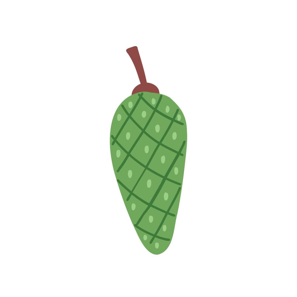 Green pine cone vector