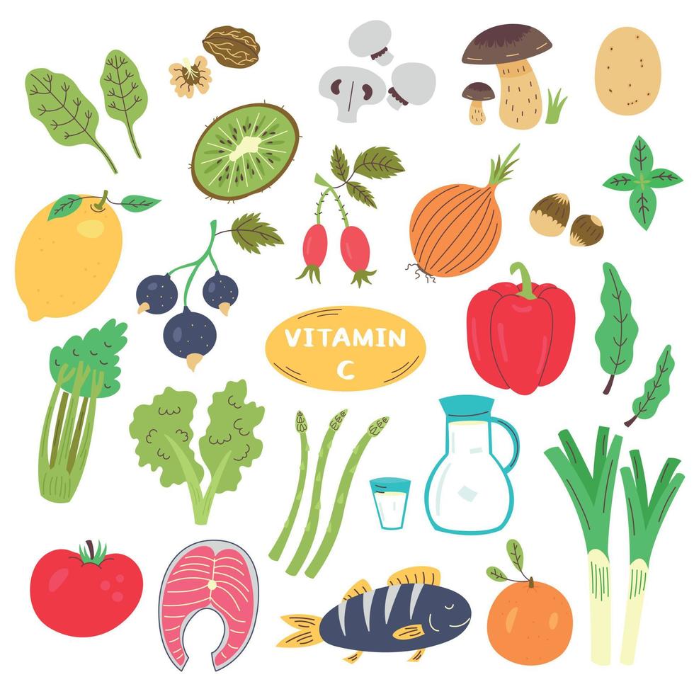 Vitamin C Food Source Kit vector