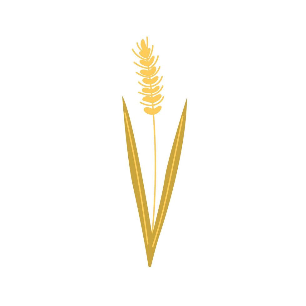 Yellow Wheat doodle vector