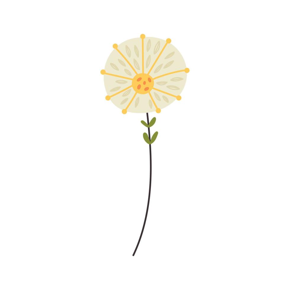 Dandelion flower doodle vector