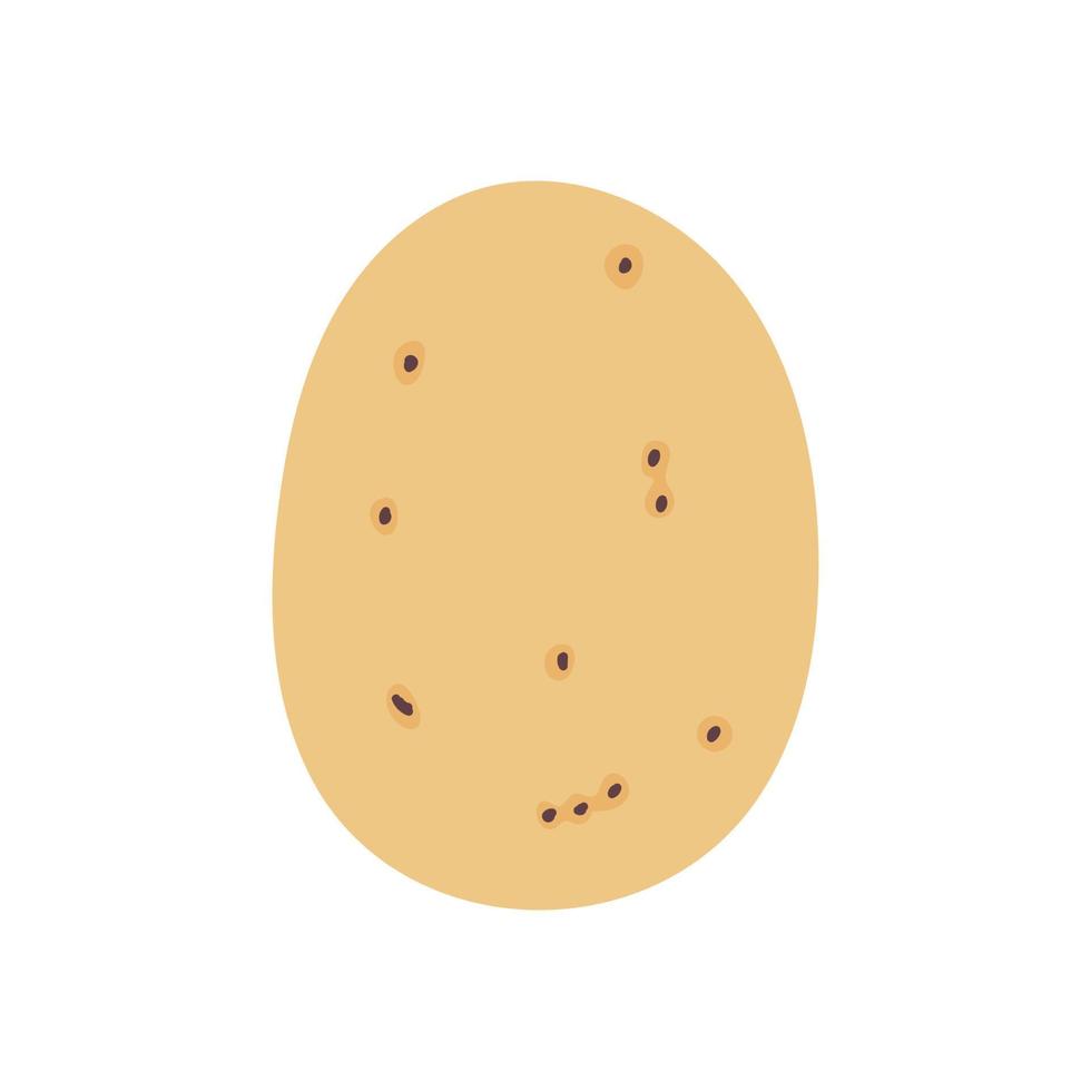 Vector vegetable potato