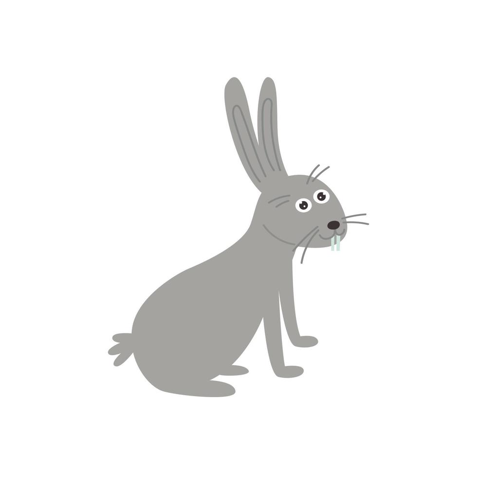 Cute gray hare vector