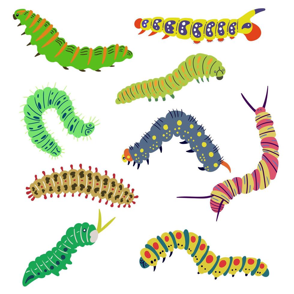 un conjunto de orugas brillantes vectoriales aisladas dibujadas a mano. la larva de insectos, mariposas, polilla. ilustración editable sobre un fondo blanco vector