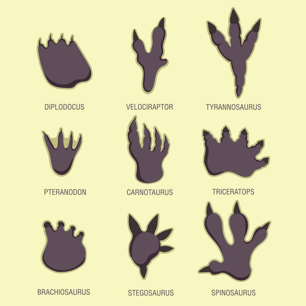 Educational set for children footprints of dinosaurs vector