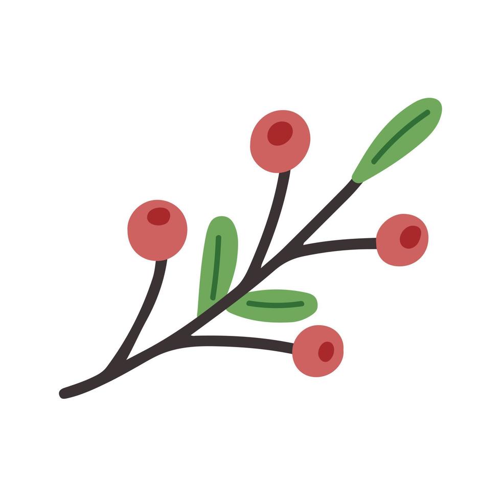 Rowan branch with leaves vector