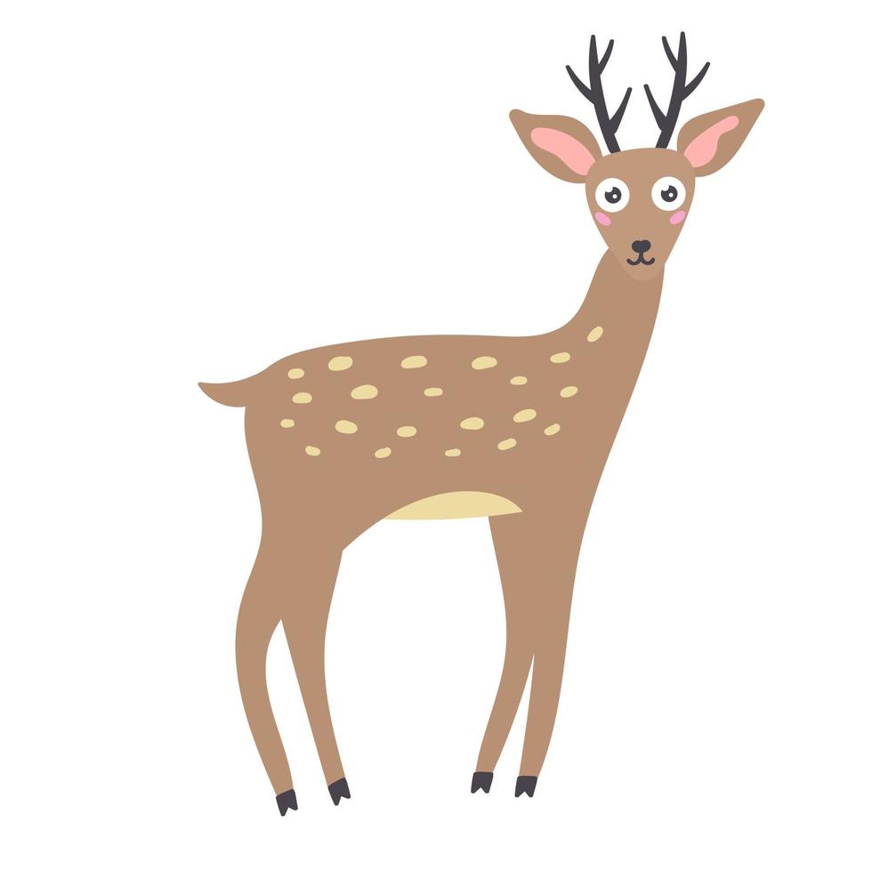 Sika deer with antlers forest animal vector