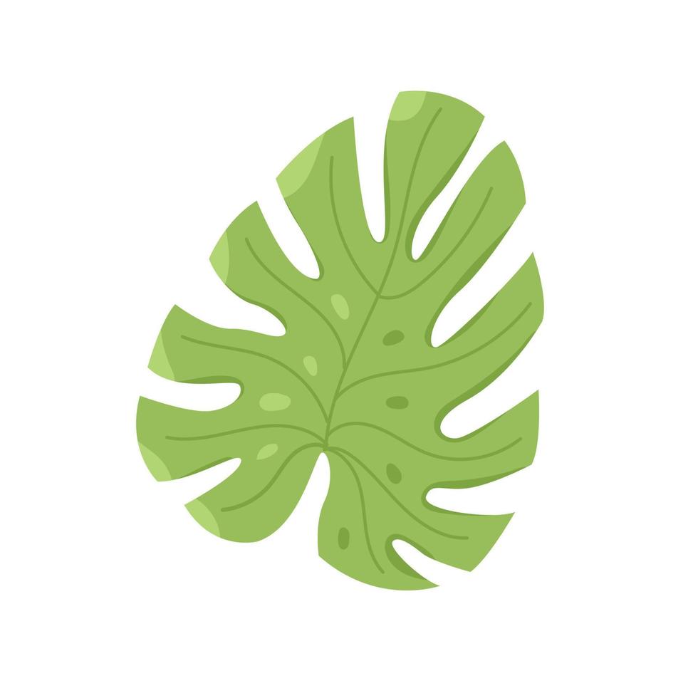 Vector tropical monster leaf