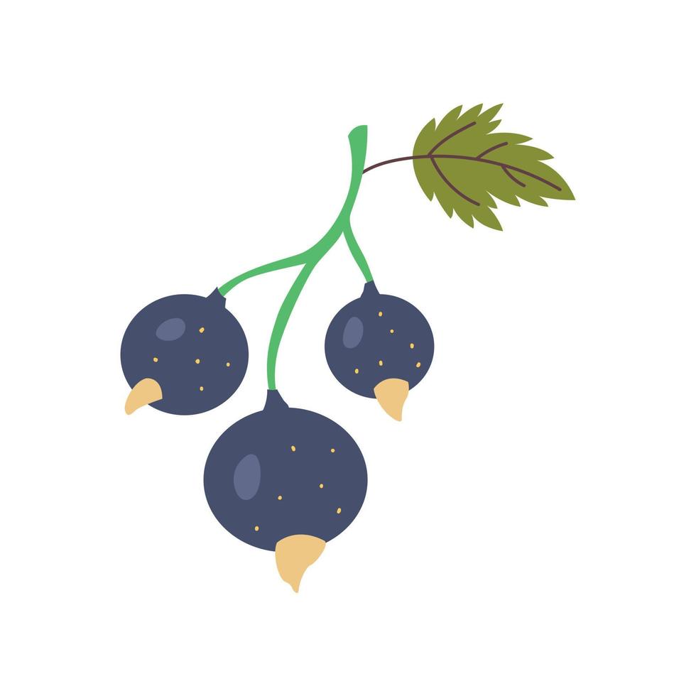 Vector berry gooseberry