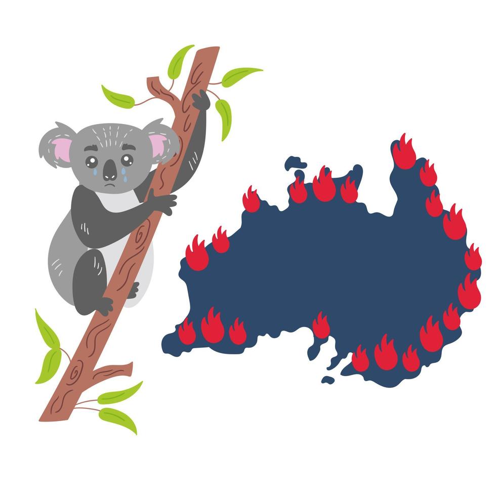Sad Koala sits on a eucalyptus tree and hides from the fire. The animal world is suffering. An ecological disaster in Australia forest fires. Vector isolated illustration on white background