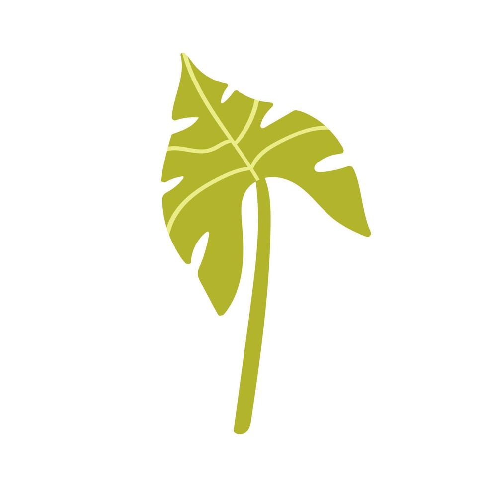 Green tropical leaf handdrawn vector