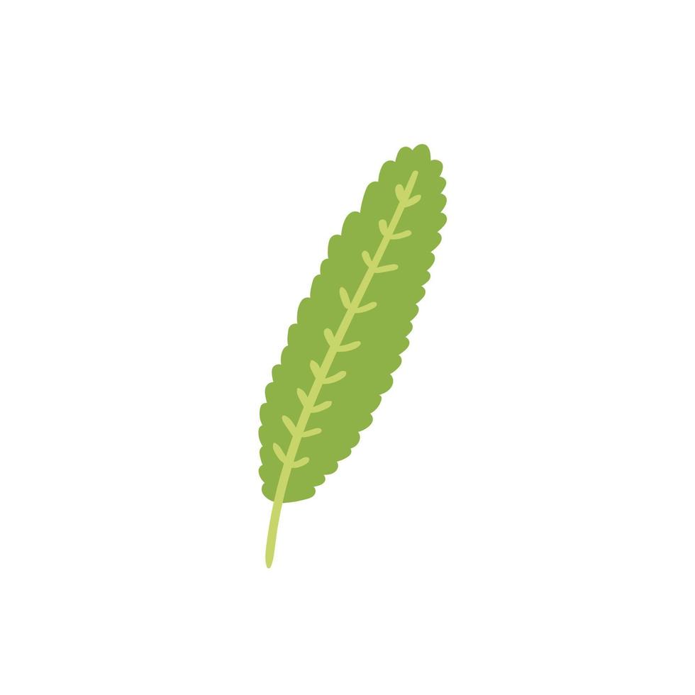 Cartoon vector decorative green leaf