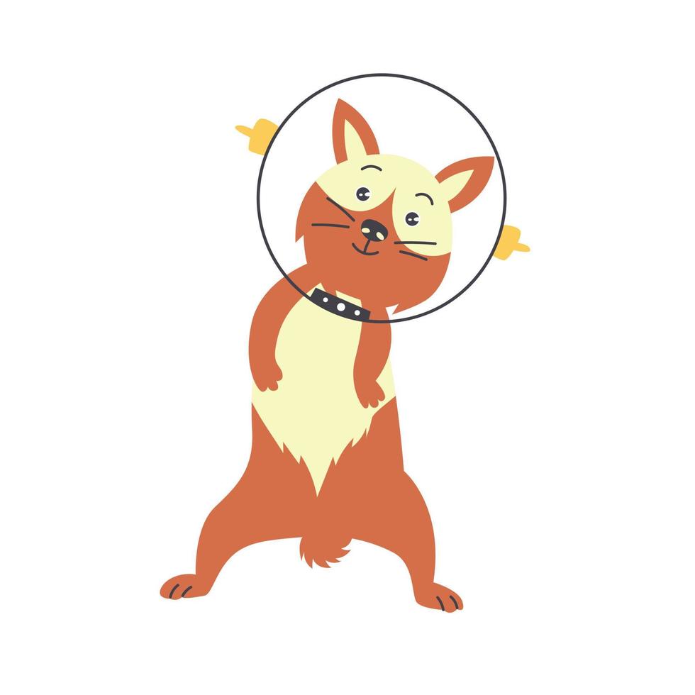 Astronaut Corgi Dog vector