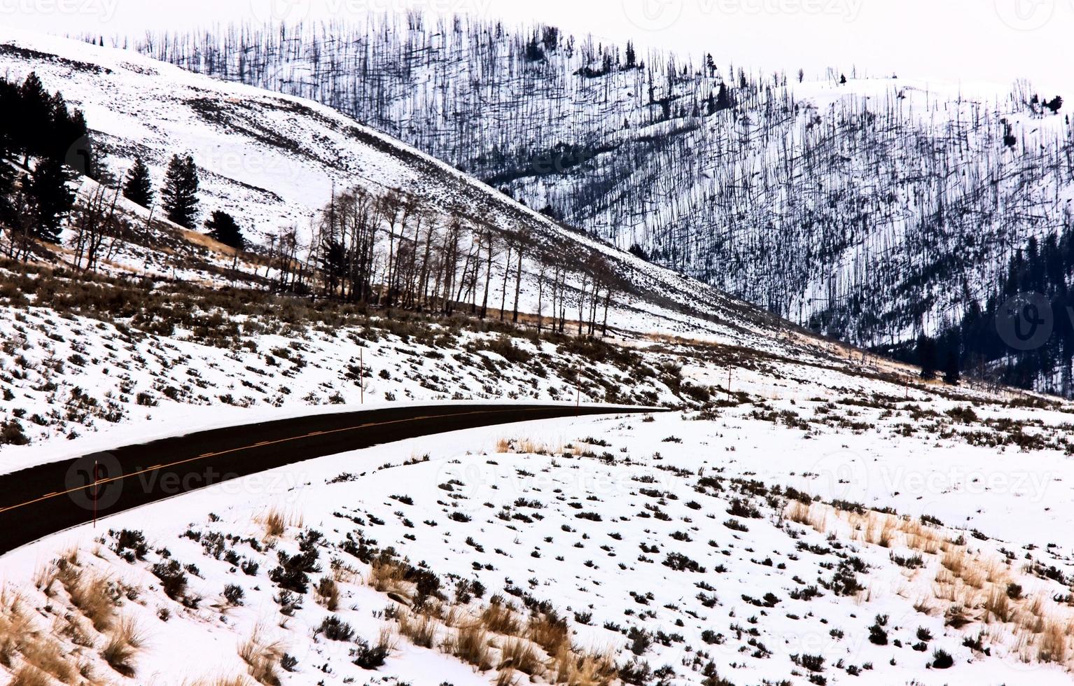 parque de yellowstone wyoming invierno nieve foto