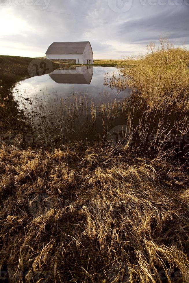 Old Barn and Dugout marsh Canada photo