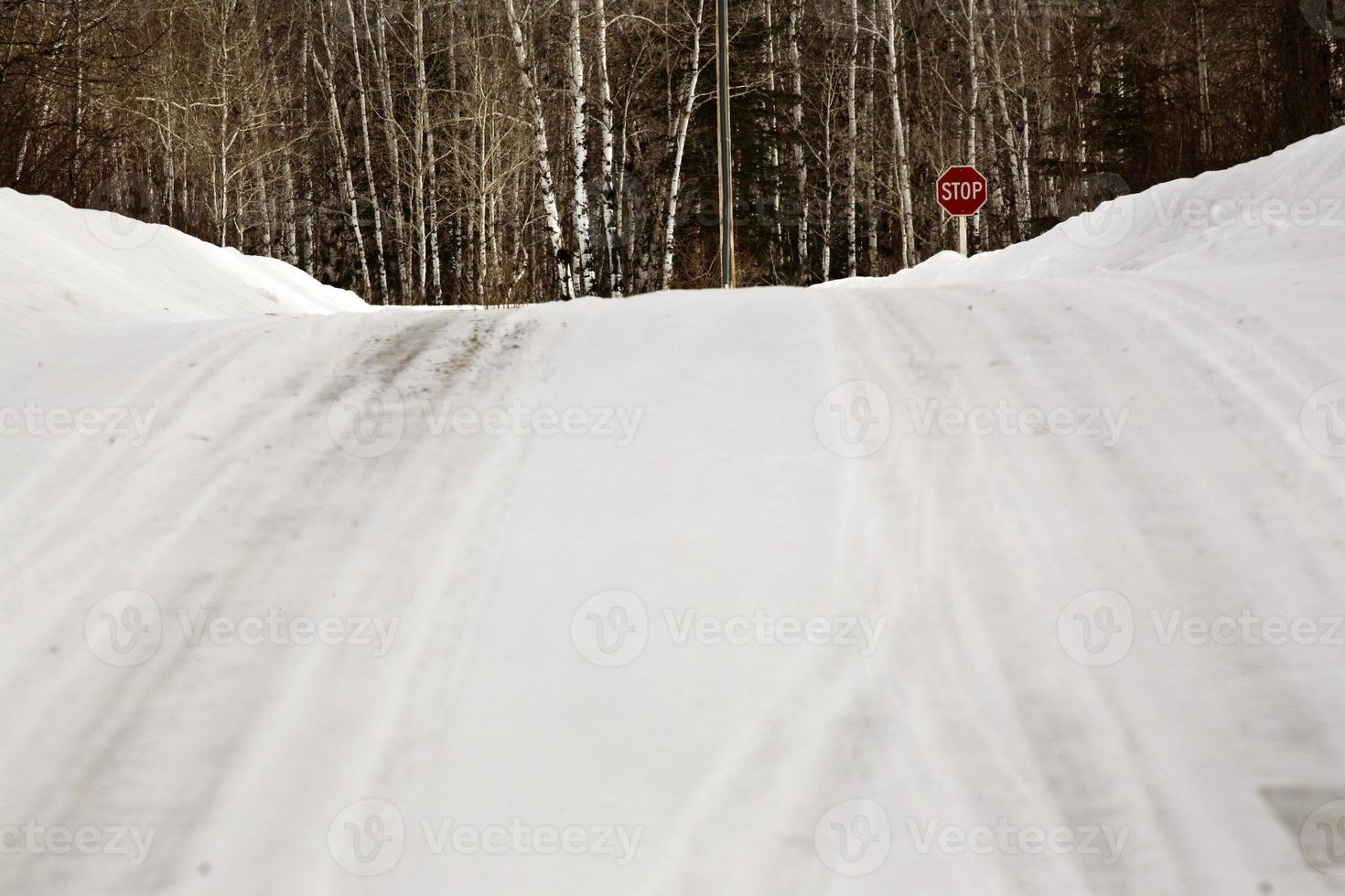 Snow covered road in winter photo