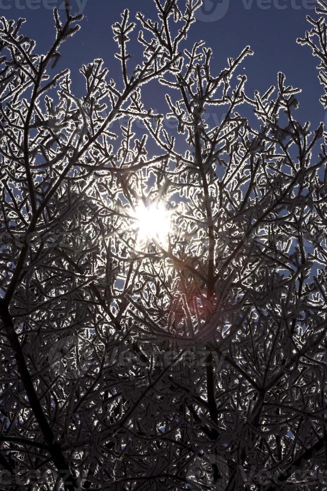 A Frosty Country Day photo