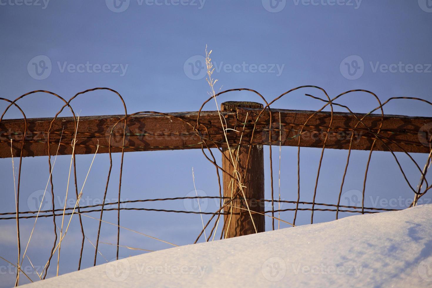 Wire fence in winter photo