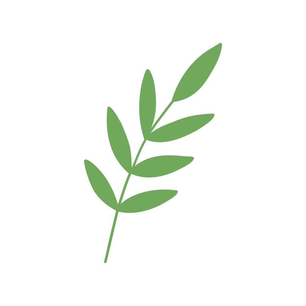 Green leaf handdrawn vector
