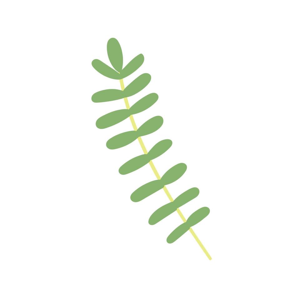 Green tropical leaf handdrawn vector