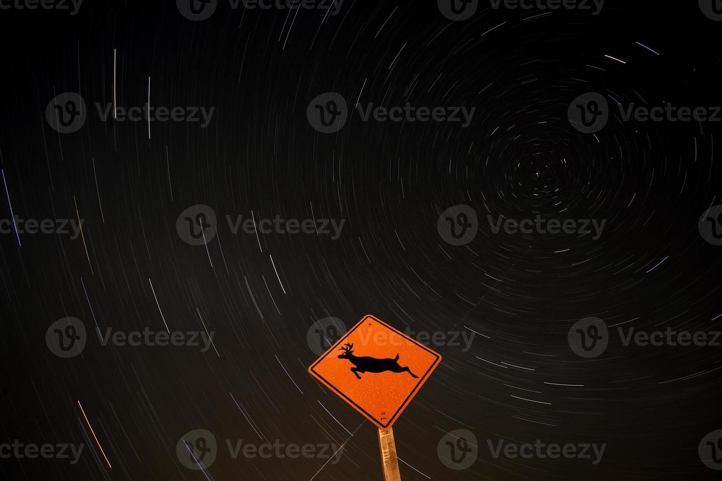 Star tracks behind deer sign photo