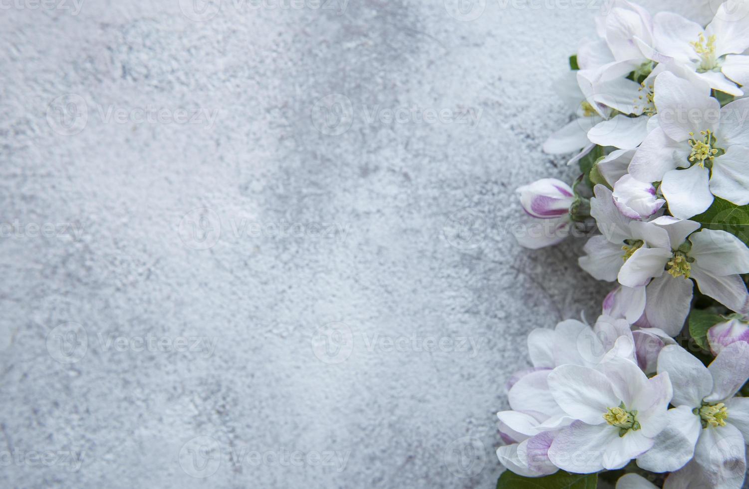 Blossom flowers on gray concrete backdrop. photo