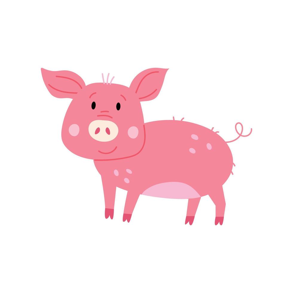 Cute character piggy vector