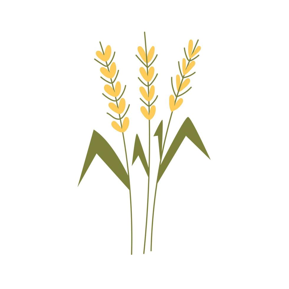 Wheat plants doodle vector