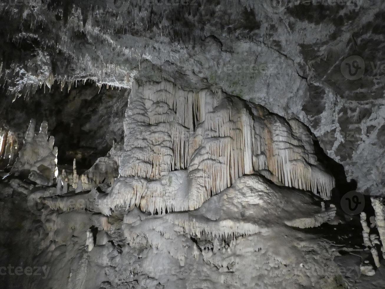 cueva kárstica en postojna foto