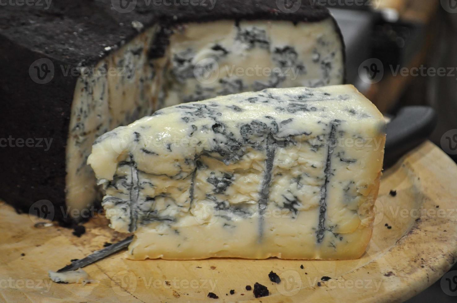 blue cheese fine food photo