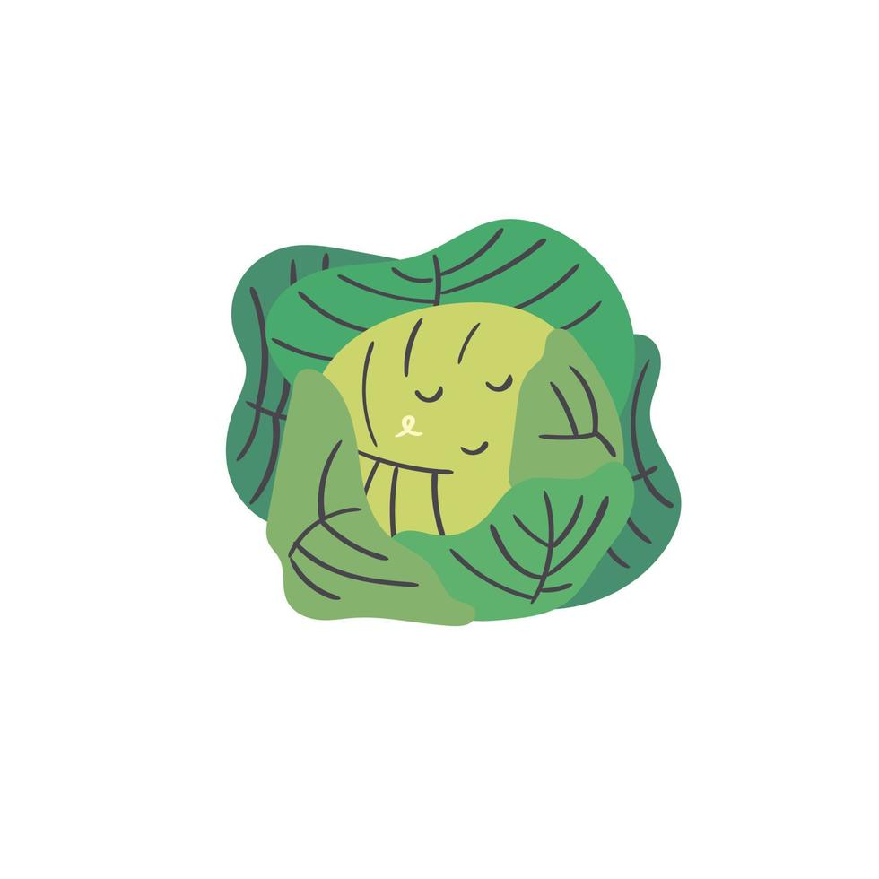 lindo repollo vegetal vector