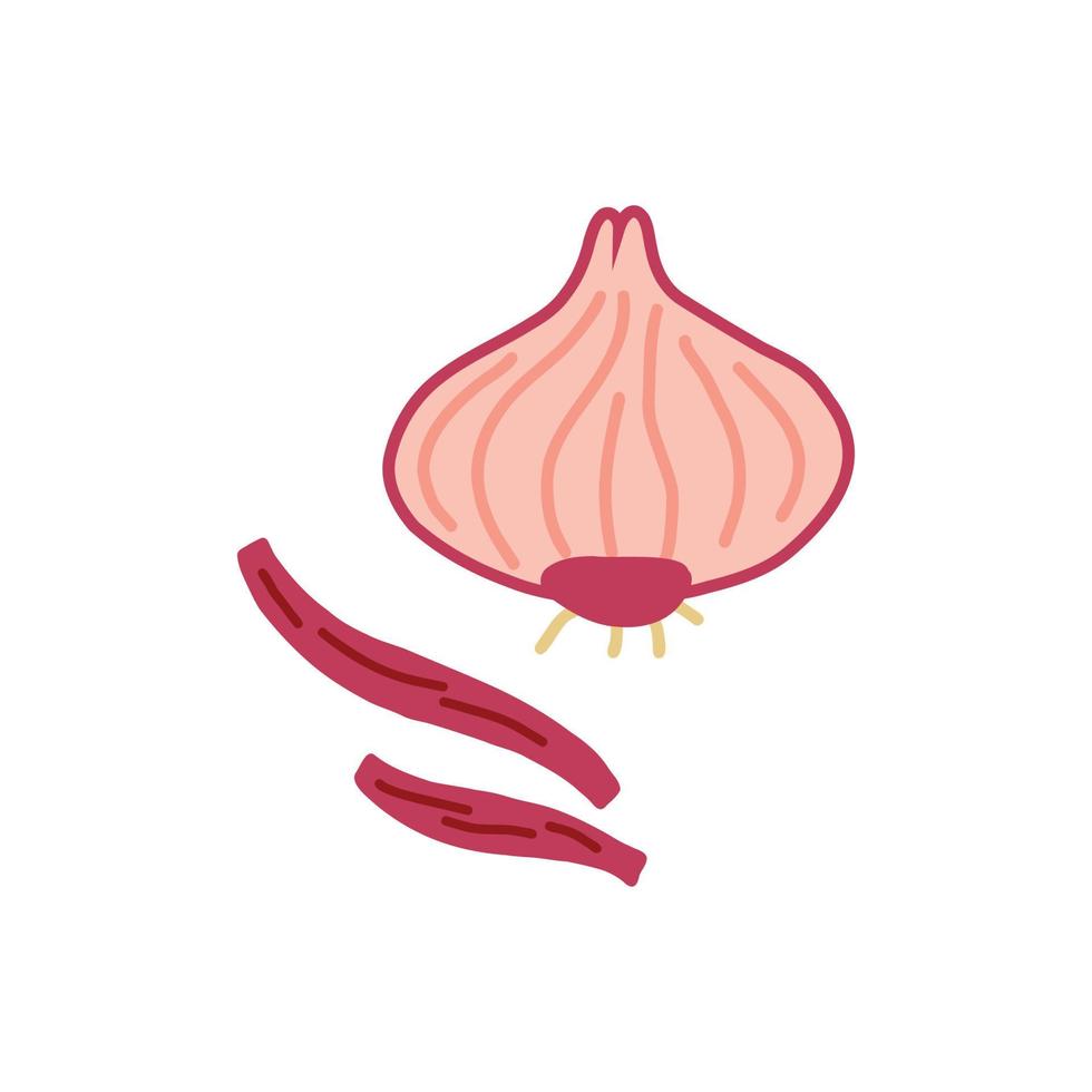 Sliced Purple shallot slices vector