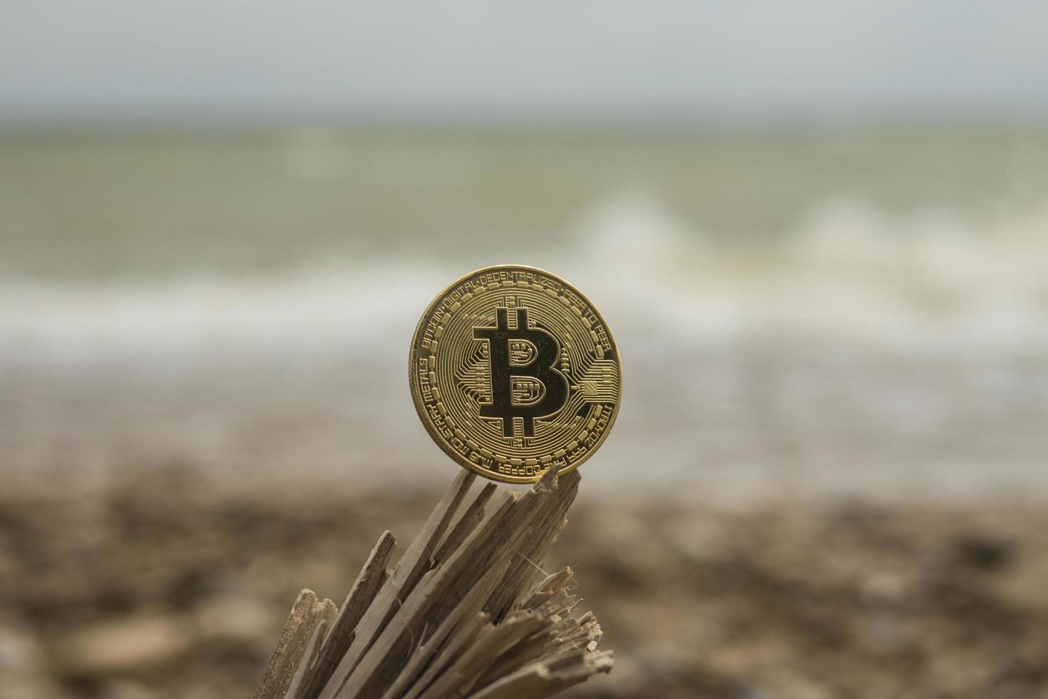 criptomoneda bitcoin en el mar foto