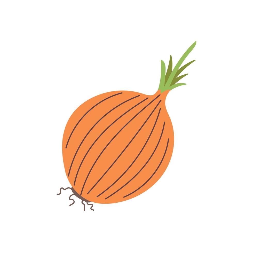Vector onions doodle
