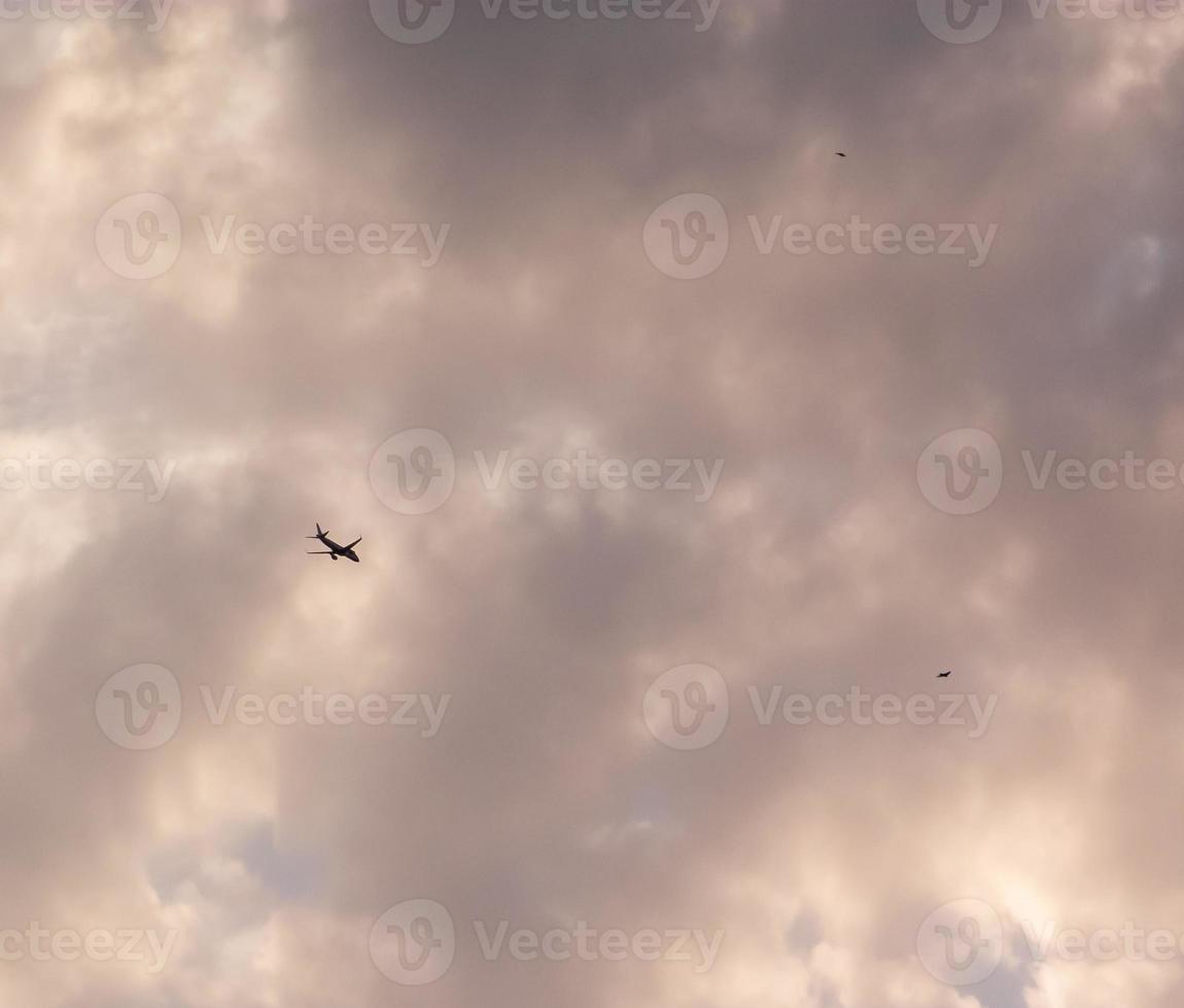 Two birds and a plane photo